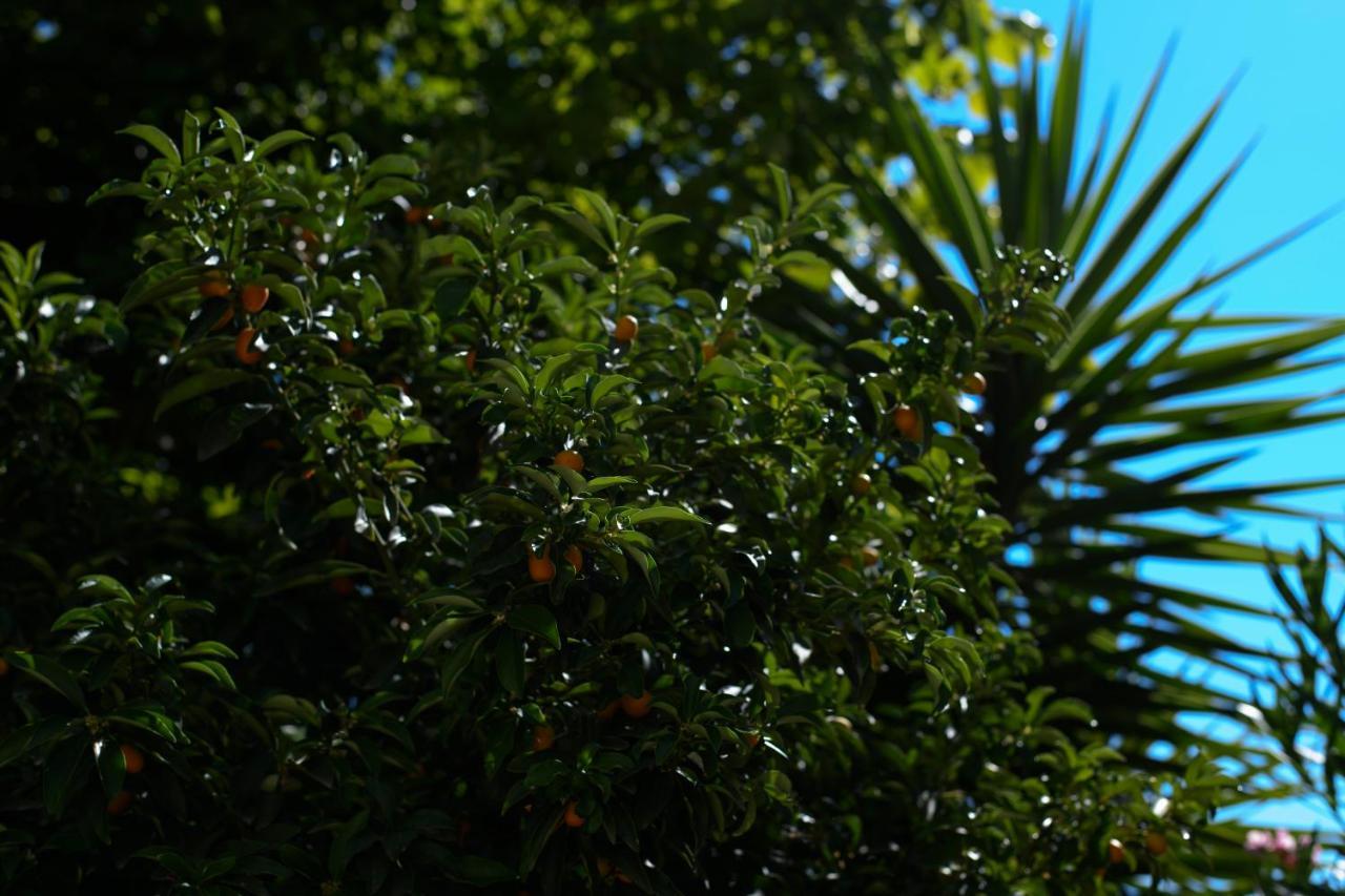 B&B La Fontanella San Benedetto del Tronto Exteriér fotografie