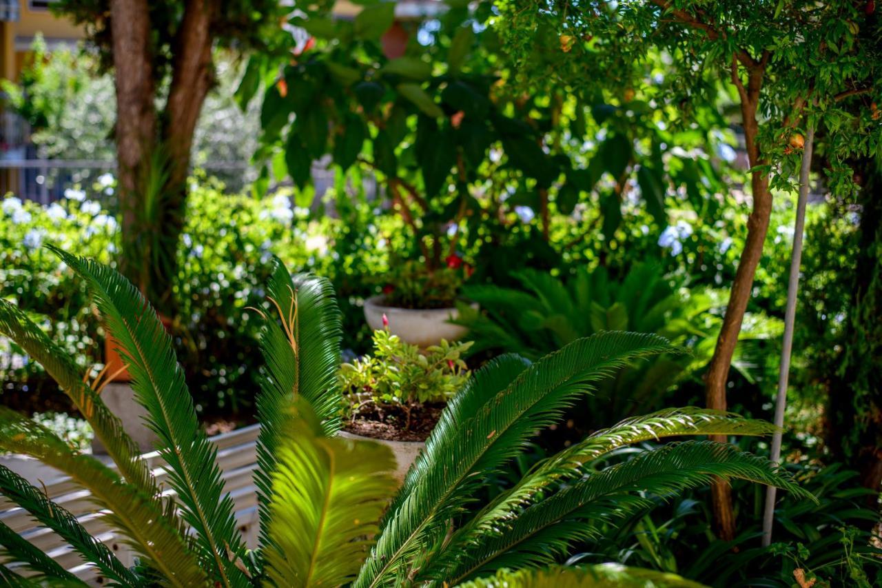 B&B La Fontanella San Benedetto del Tronto Exteriér fotografie